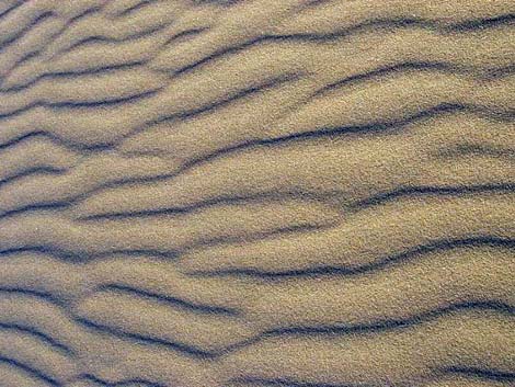Desert Dry Lake Dunes North
