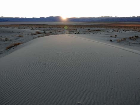 Desert Dry Lake Dunes