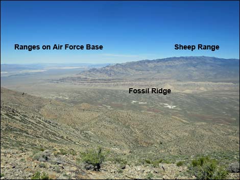 Gass Peak Summit