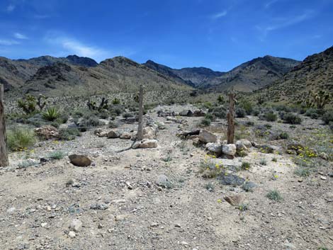 Joe May Road
