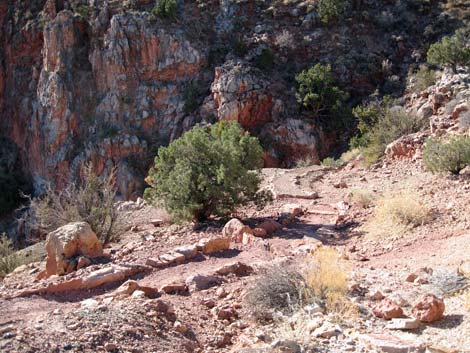 Page Spring Trail