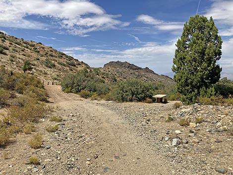 White Rock Campground