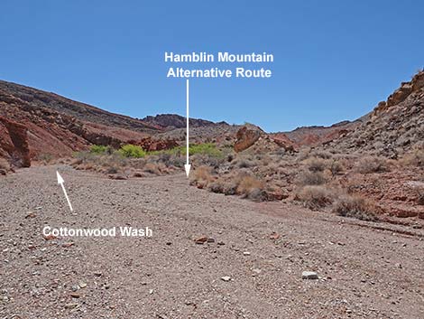 Cottonwood Spring