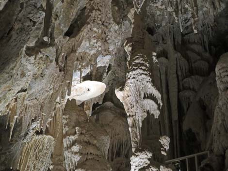 Mitchell Caverns Trail