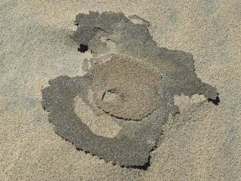Kelso Dunes