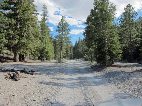 Macks Canyon Road