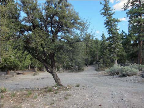 Macks Canyon Road