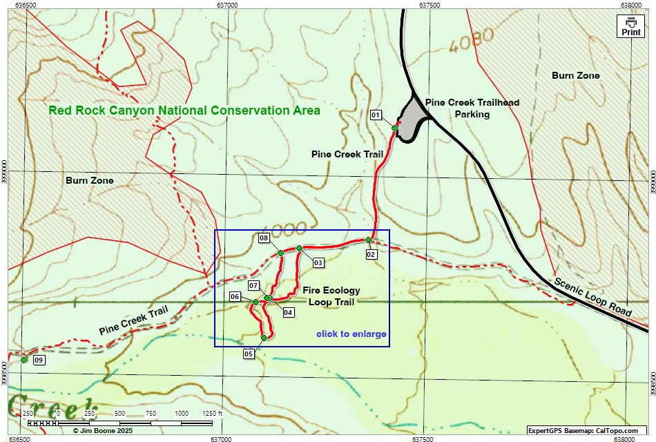 Fire Ecology Trail Map