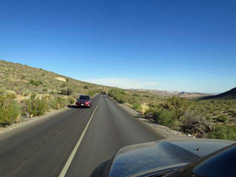 Willow Springs Road