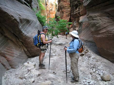 Orderville Canyon